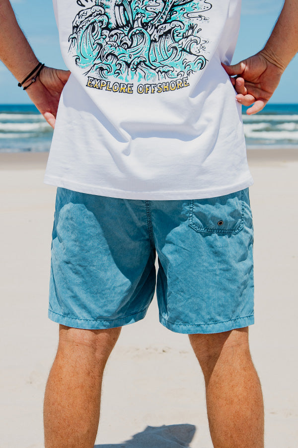 Explore Life Swim Short - Blue