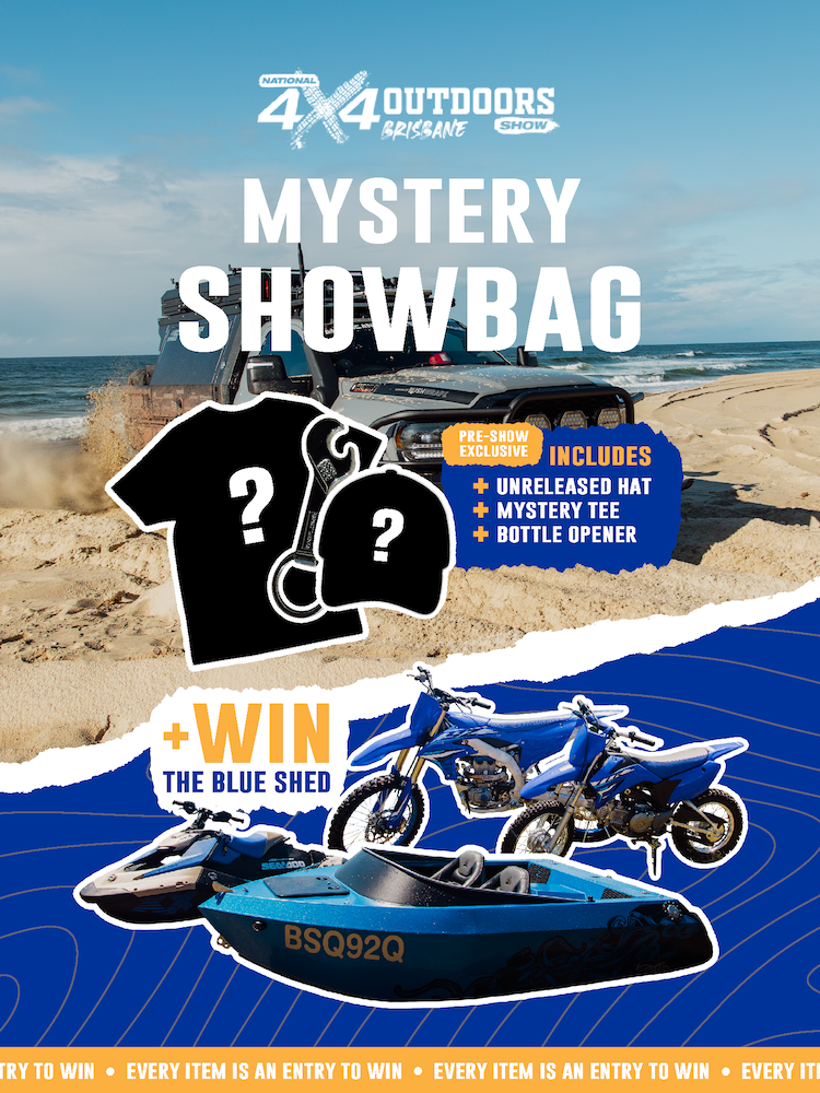 gid://shopify/MediaImage/37971002687709