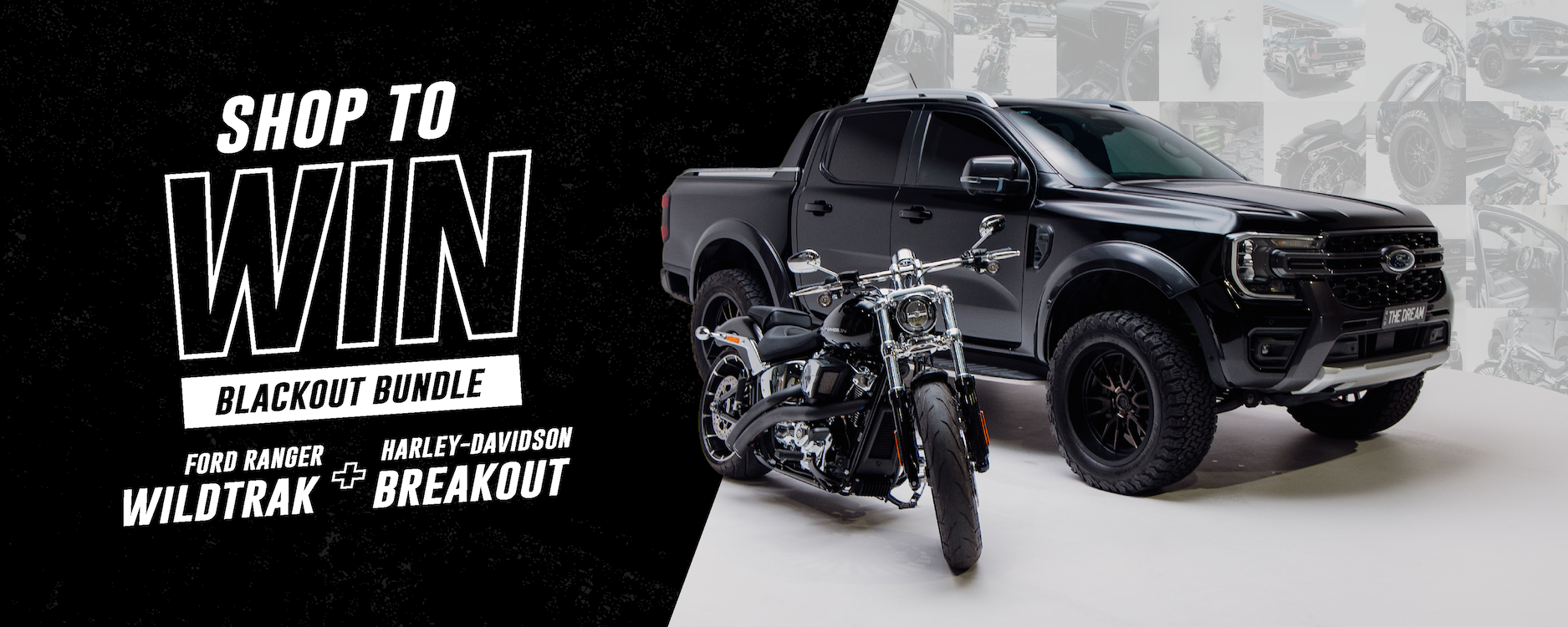 gid://shopify/MediaImage/38142481465565