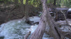 We are the Explore Life video