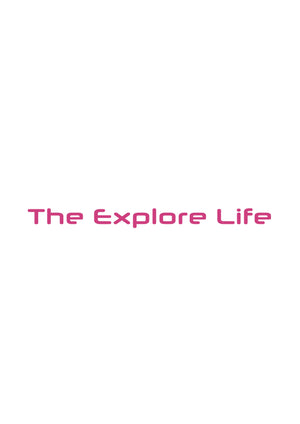 The Explore Life Windscreen Vinyl Sticker (88 x 6cm) - Pink
