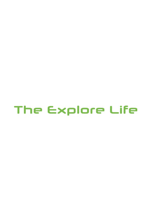 The Explore Life Windscreen Vinyl Sticker (88 x 6cm) - Lime Green
